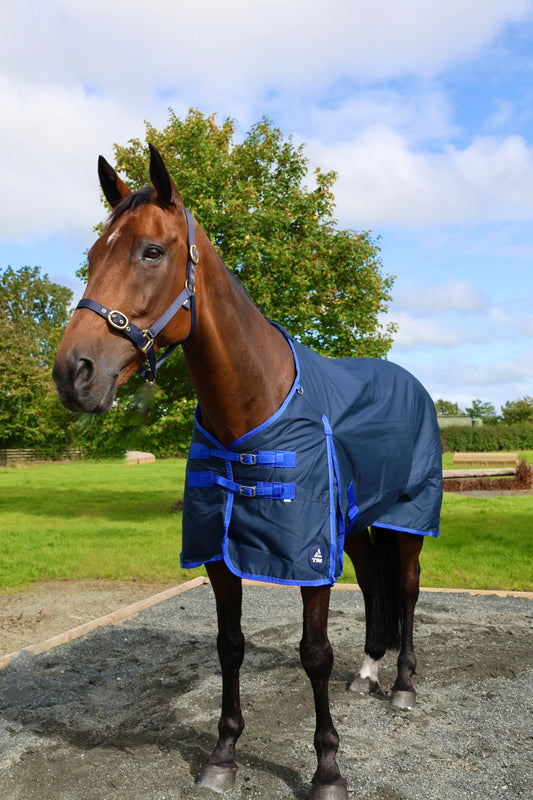TRI Arkle Std Neck Turnout 100g Navy/Blue