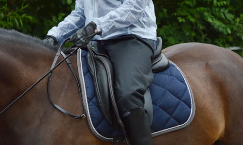 From Helmets to Saddle pads: The Must-Have Horse Riding Equipment for Every Equestrian