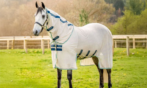 Optimizing Equine Well-Being: A Comprehensive Guide to Horse Health Supplies and Supplements