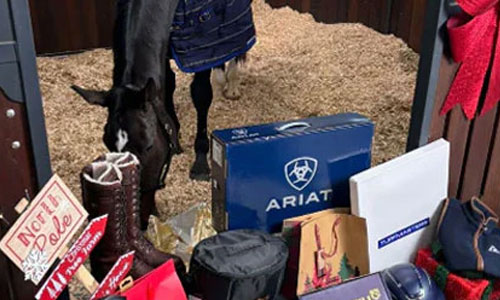 Unleash the Holiday Magic: The Ultimate Christmas Gift Guide for Equestrians, Featuring Ariat