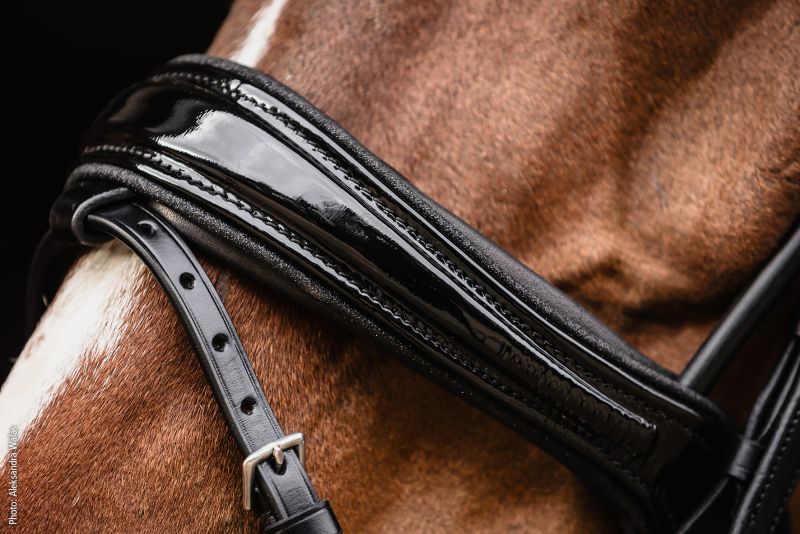 Schockemohle Bridle SP Isabell Werth Satchmo Black/Patent/Silver Full
