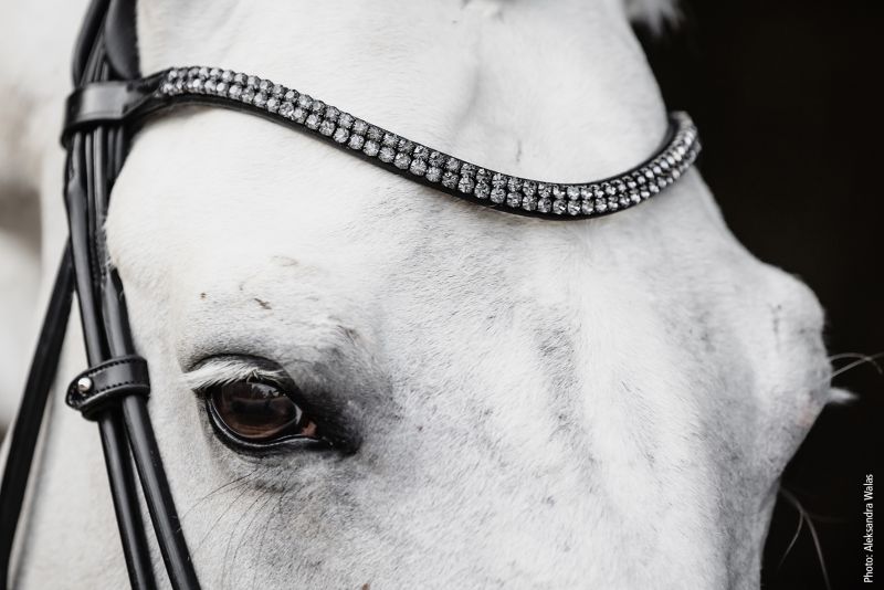 Schockemohle Bridle SP Isabell Werth Satchmo Black/Patent/Silver Full