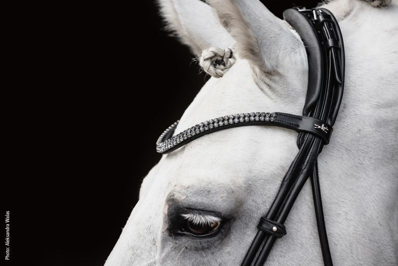 Schockemohle Bridle SP Isabell Werth Satchmo Black/Patent/Silver Full