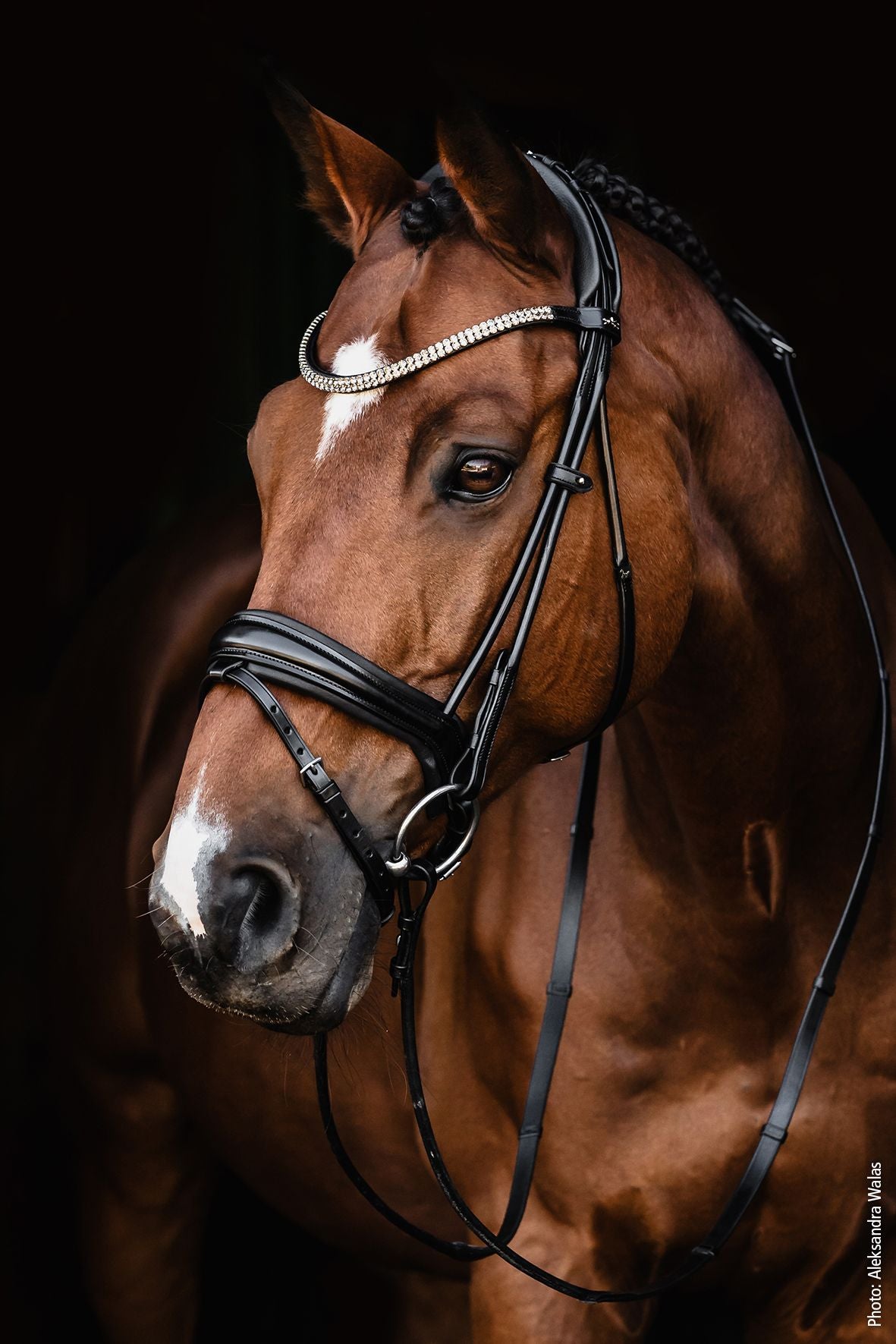 Schockemohle Bridle SP Isabell Werth Johnny Black/Silver Full