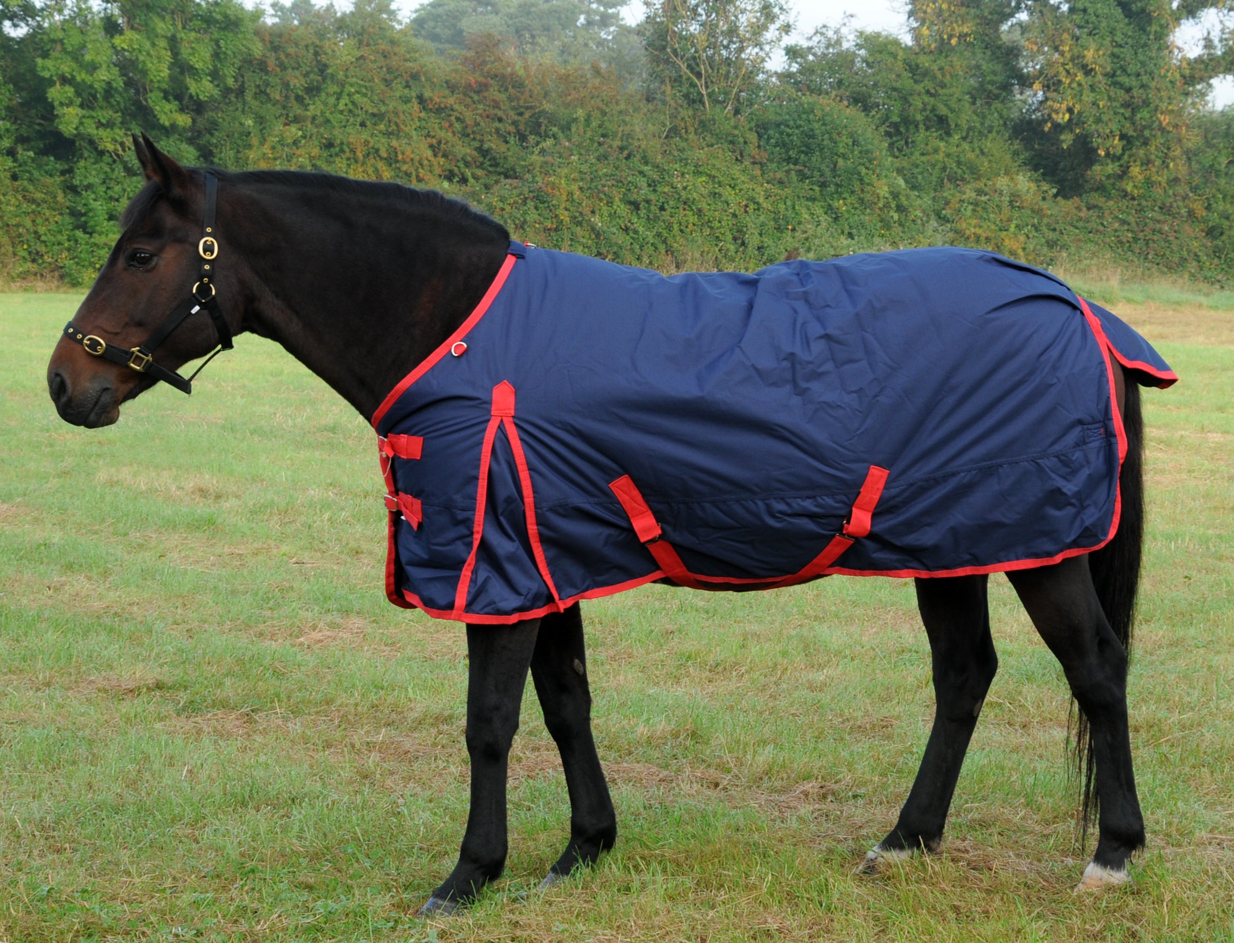 TRI Arkle Standard Neck Turnout 200G