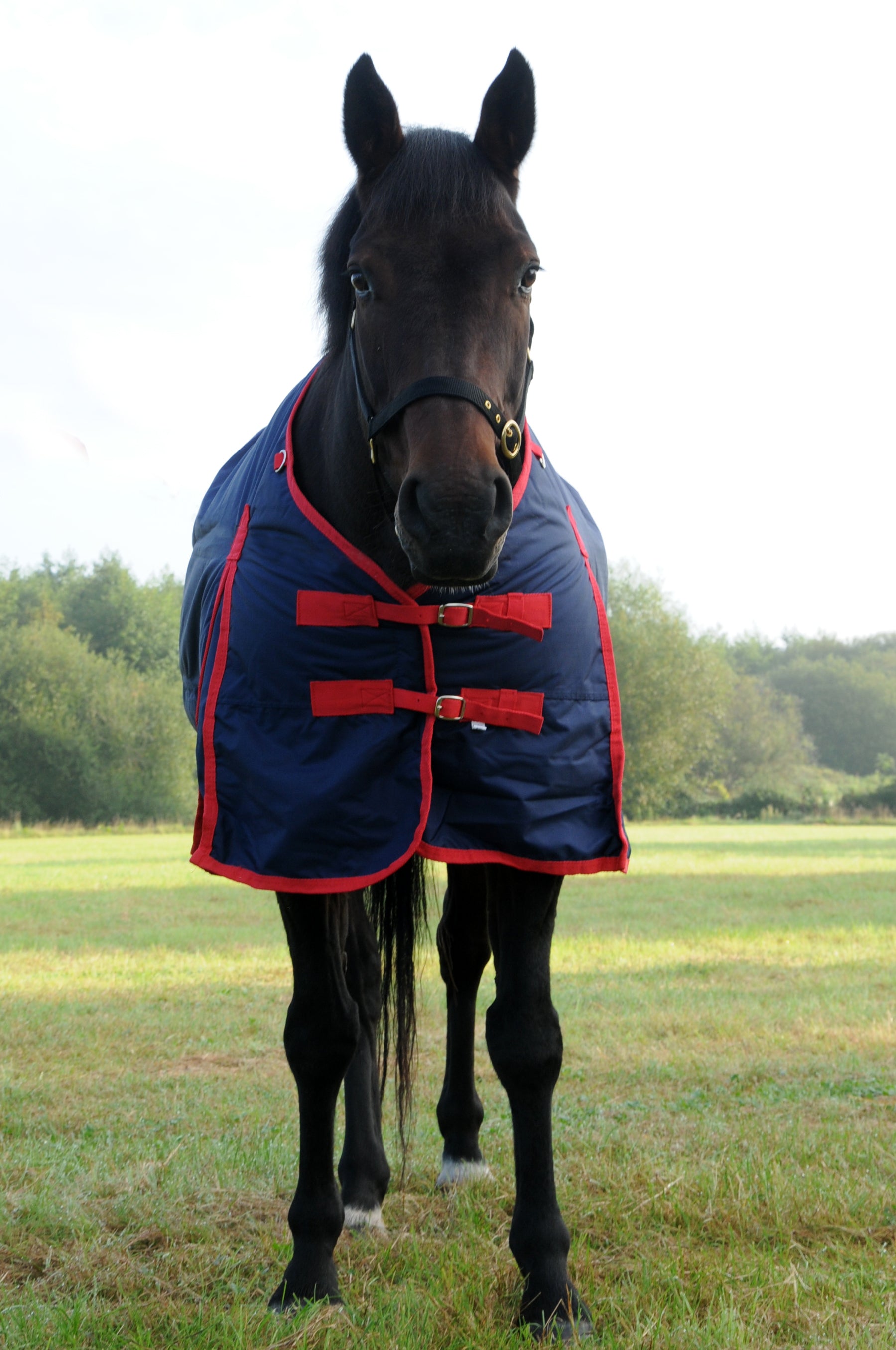 TRI Arkle Standard Neck Turnout 200G