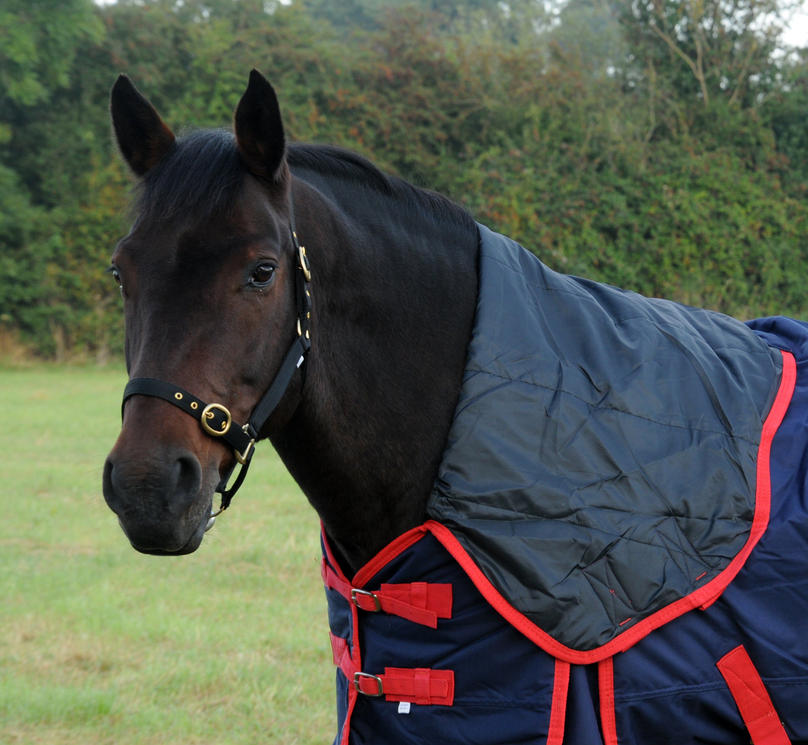 TRI Arkle Full Neck Medium Weight Turnout Rug - 200g