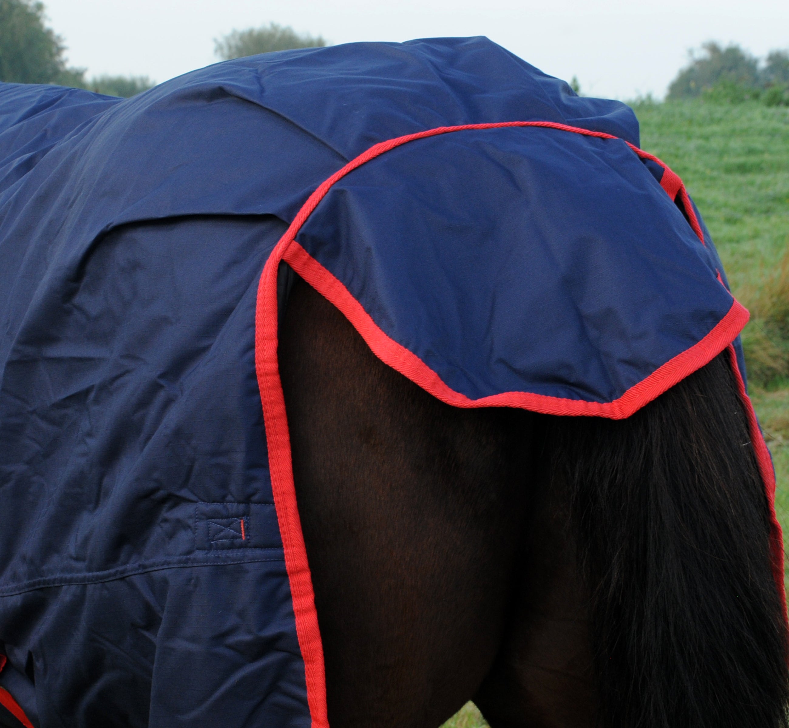 TRI Arkle Full Neck Medium Weight Turnout Rug - 200g