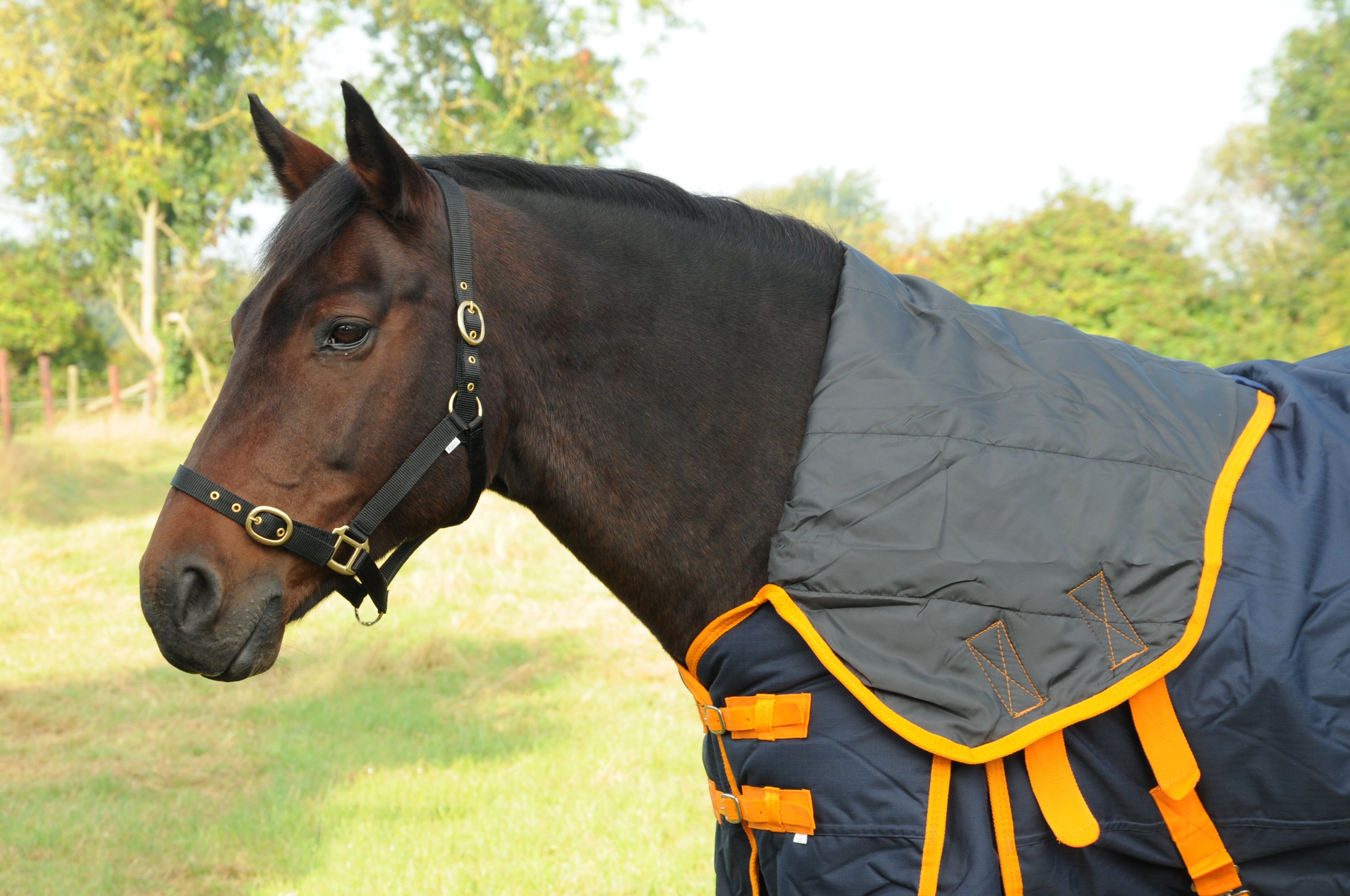 TRI Arkle Full Neck Heavyweight Turnout Rug - 350g