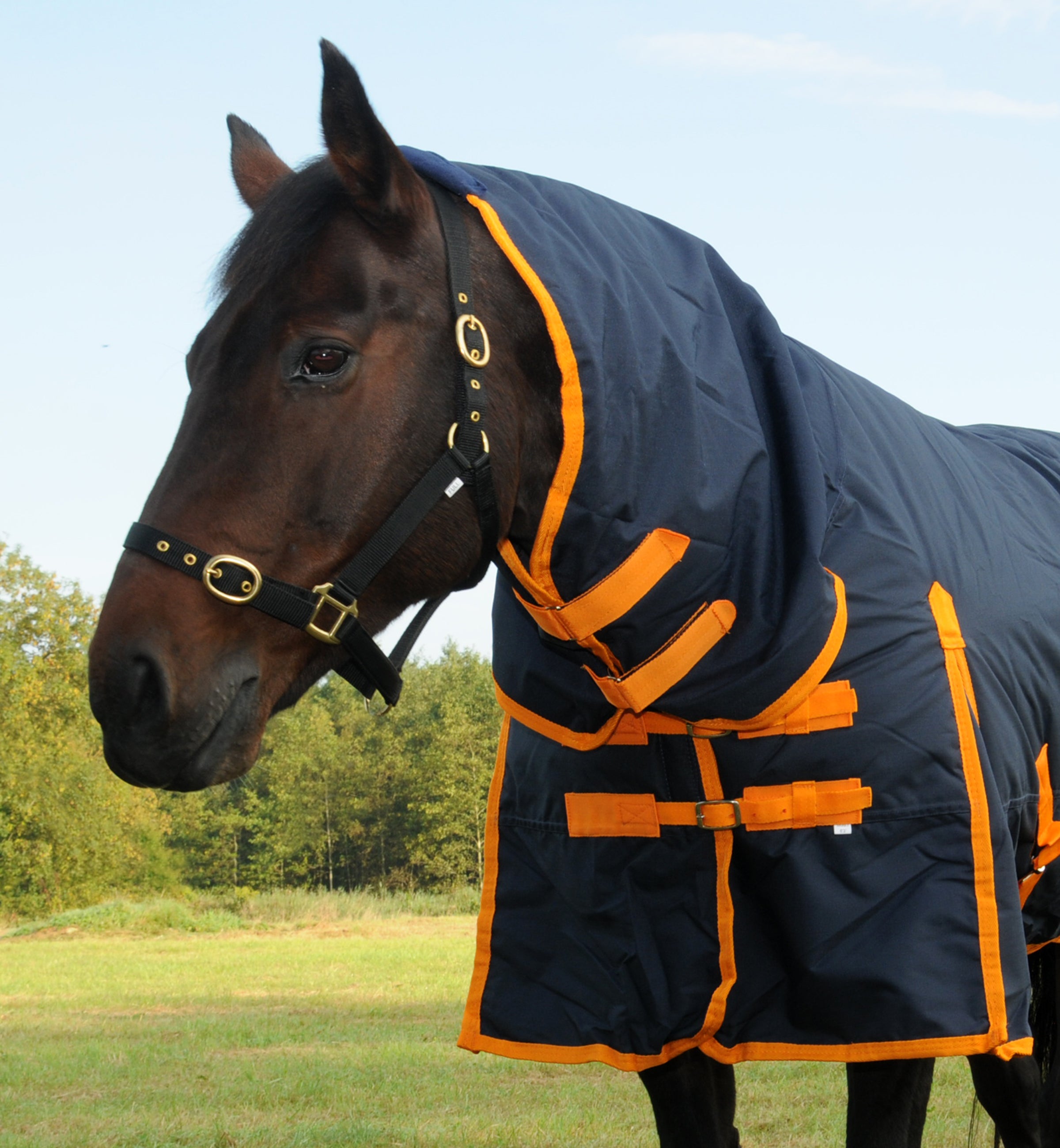 TRI Arkle Full Neck Heavyweight Turnout Rug - 350g