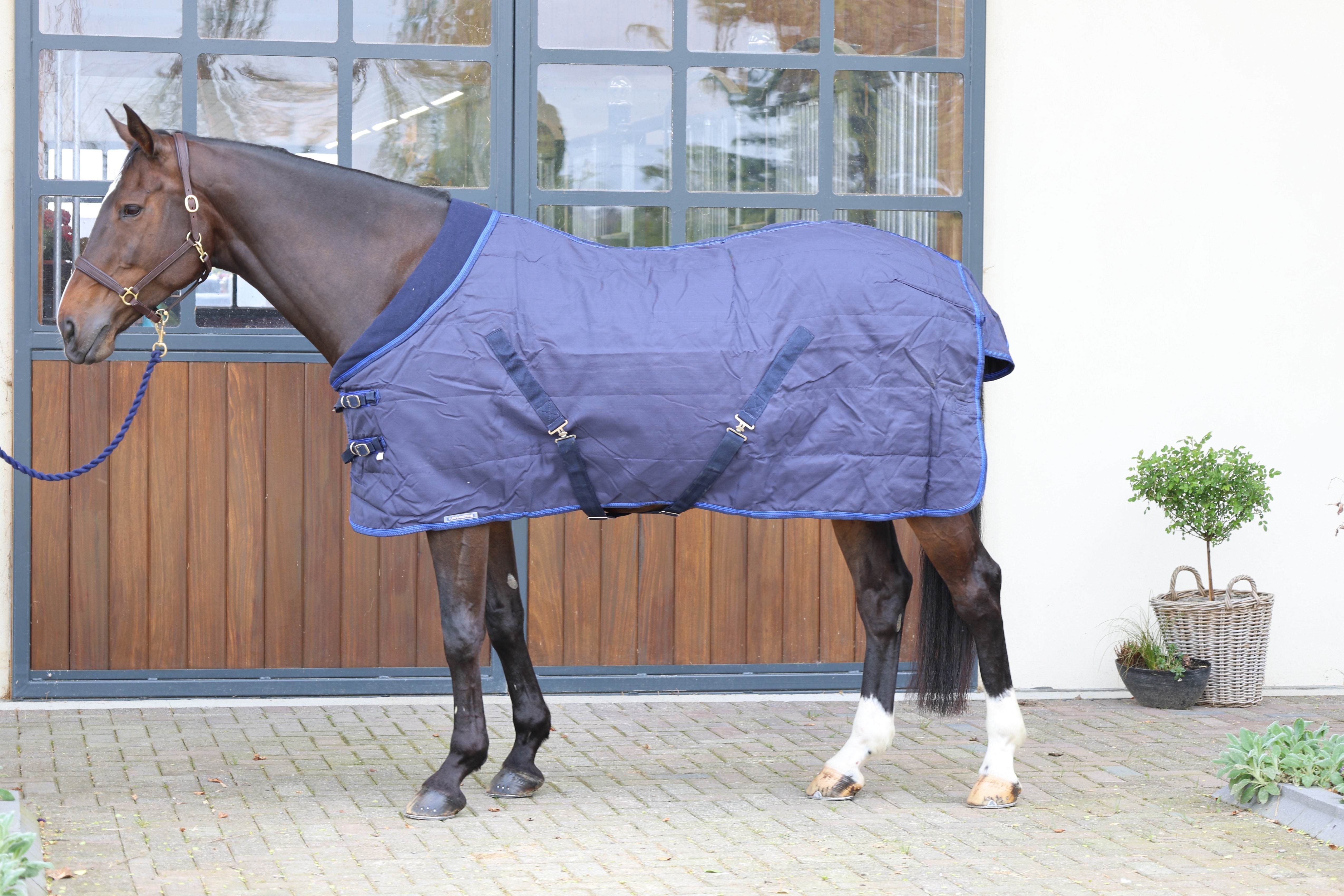 Turfmasters Lightweight Comfort Quilt Stable Rug (100g)