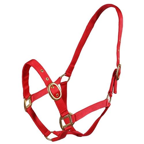 Turfmasters Nylon Halter Pony, Cob & Full