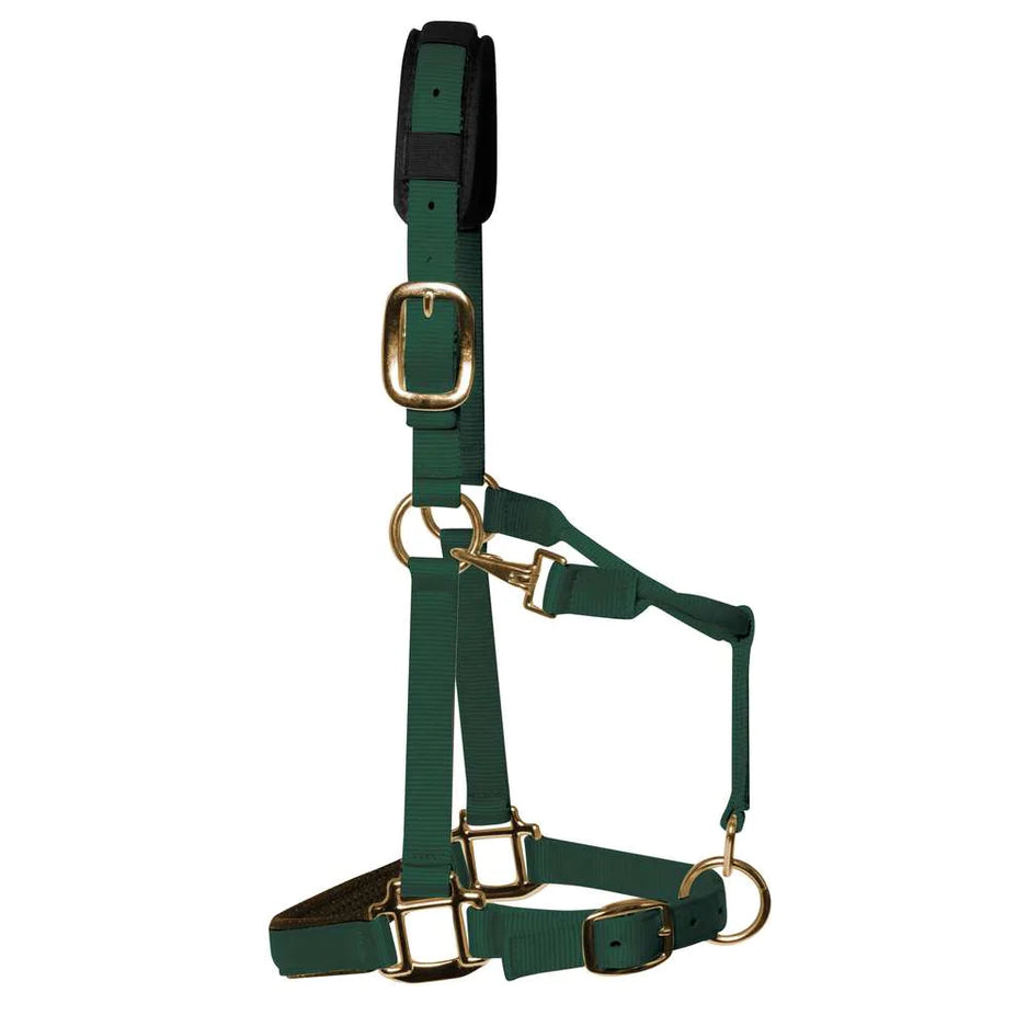 KM Elite Halter
