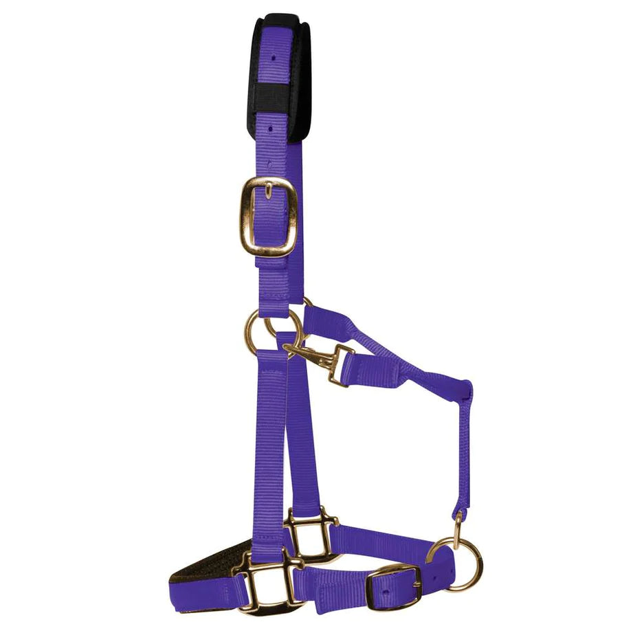 KM Elite Halter