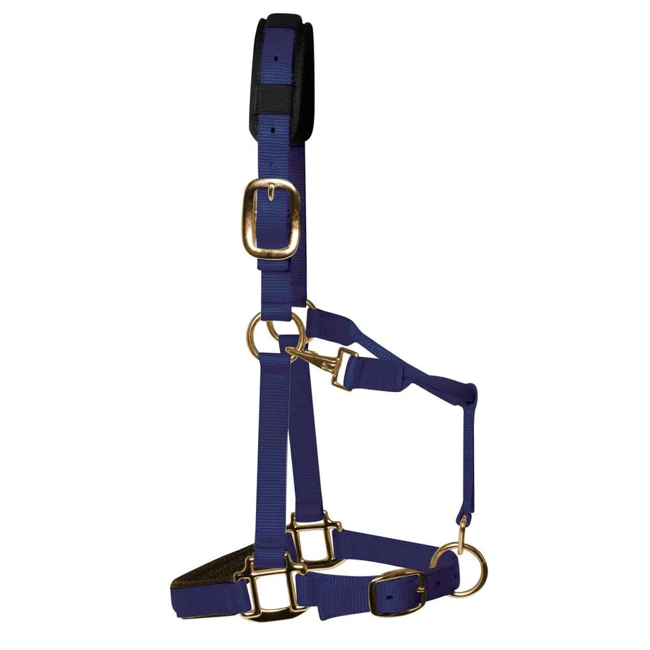 KM Elite Halter