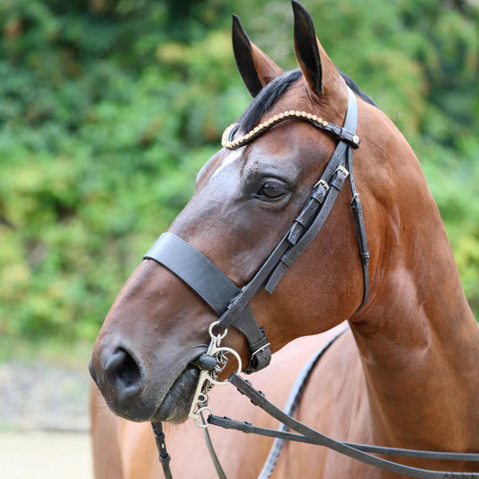 Sandstorm QuickSwitch Leather Diamante Brow Band