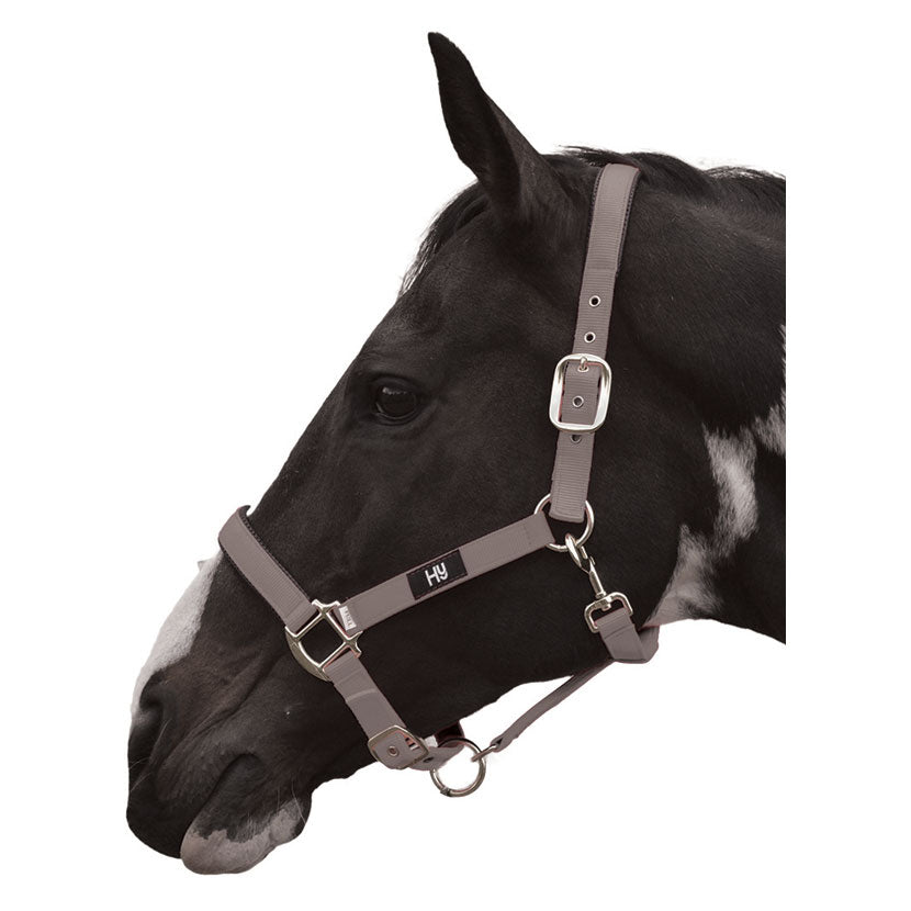 Hy G/Prix Headcollar – TRI Equestrian