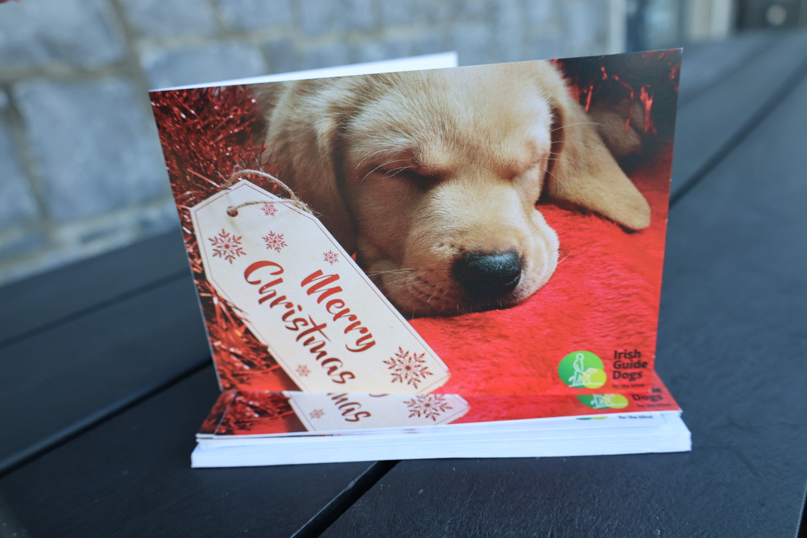 Irish Guide Dogs Cards