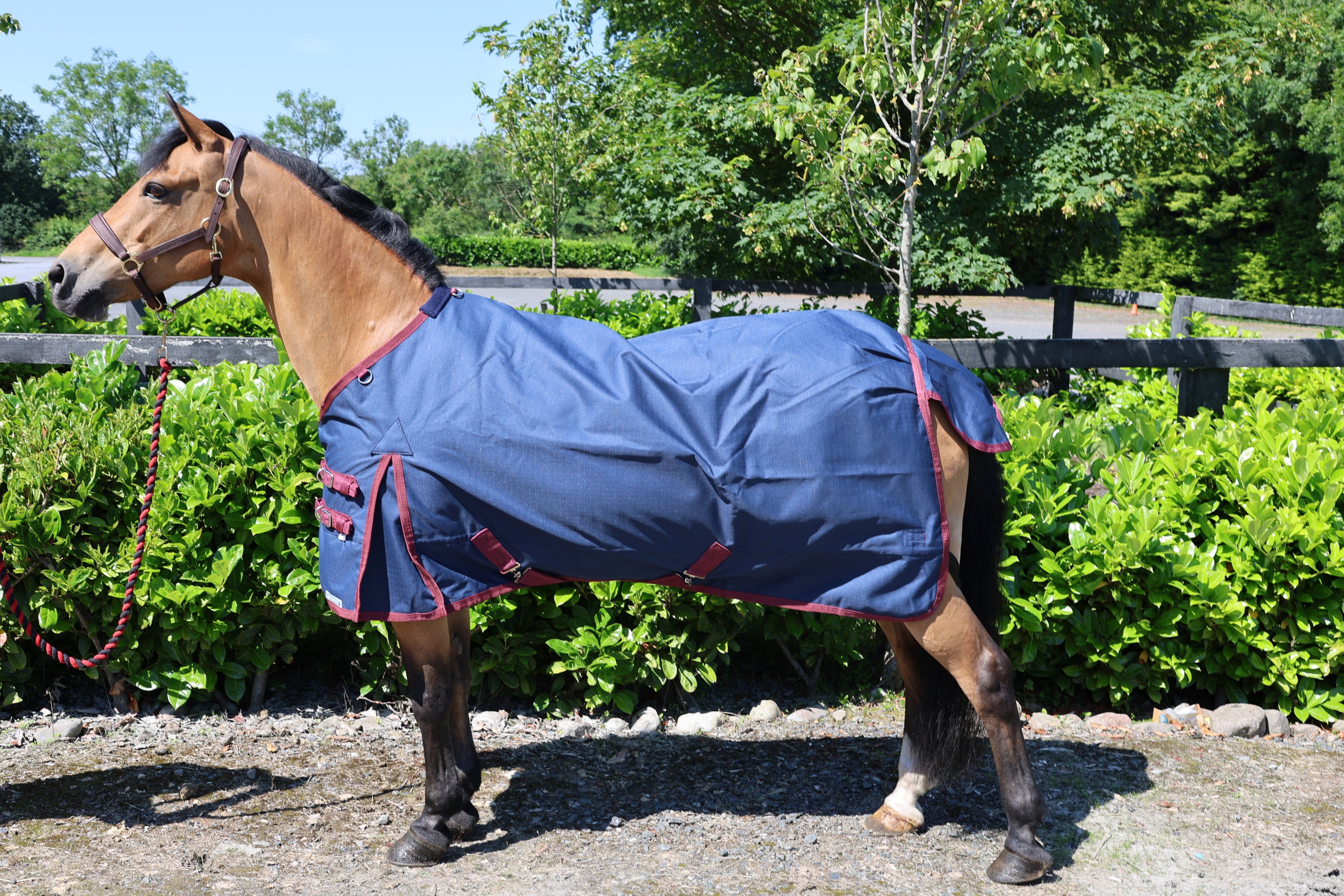 Turfmaster Light Weight 1200 Turn Out  Navy/Burgundy