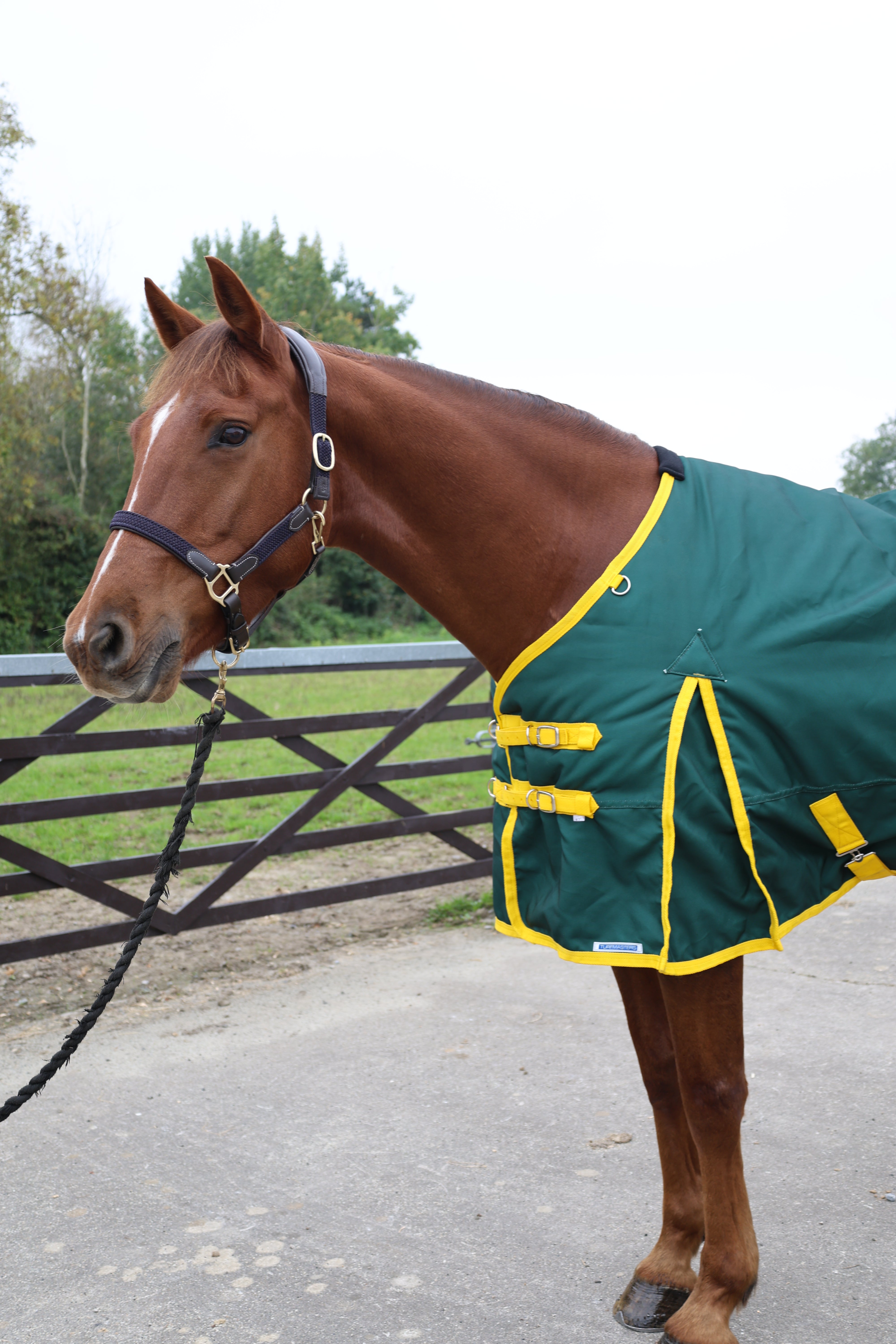 Turfmasters Vortex H/W T/O 350GR Std Neck 1200D Green