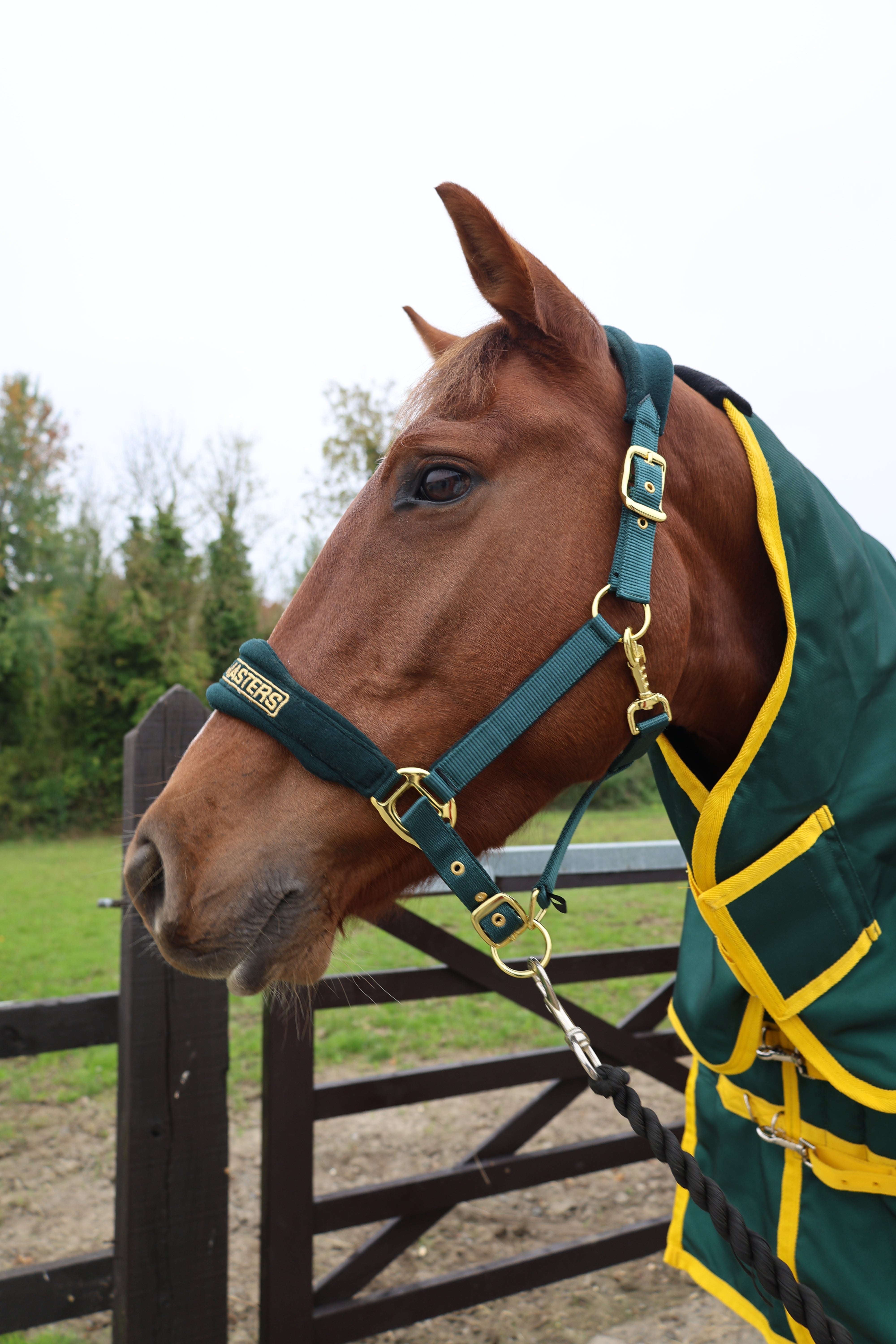 Turfmasters Fleece/Nylon Headcollar Green/Gold