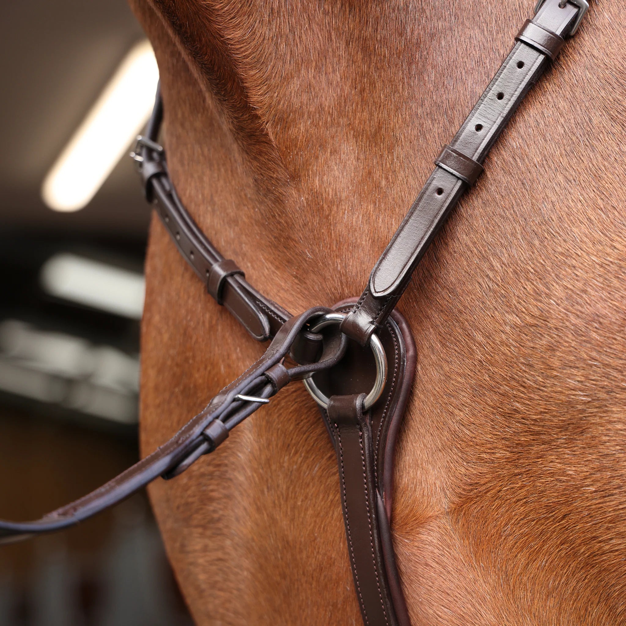Velociti Rapida Elastic Breastplate
