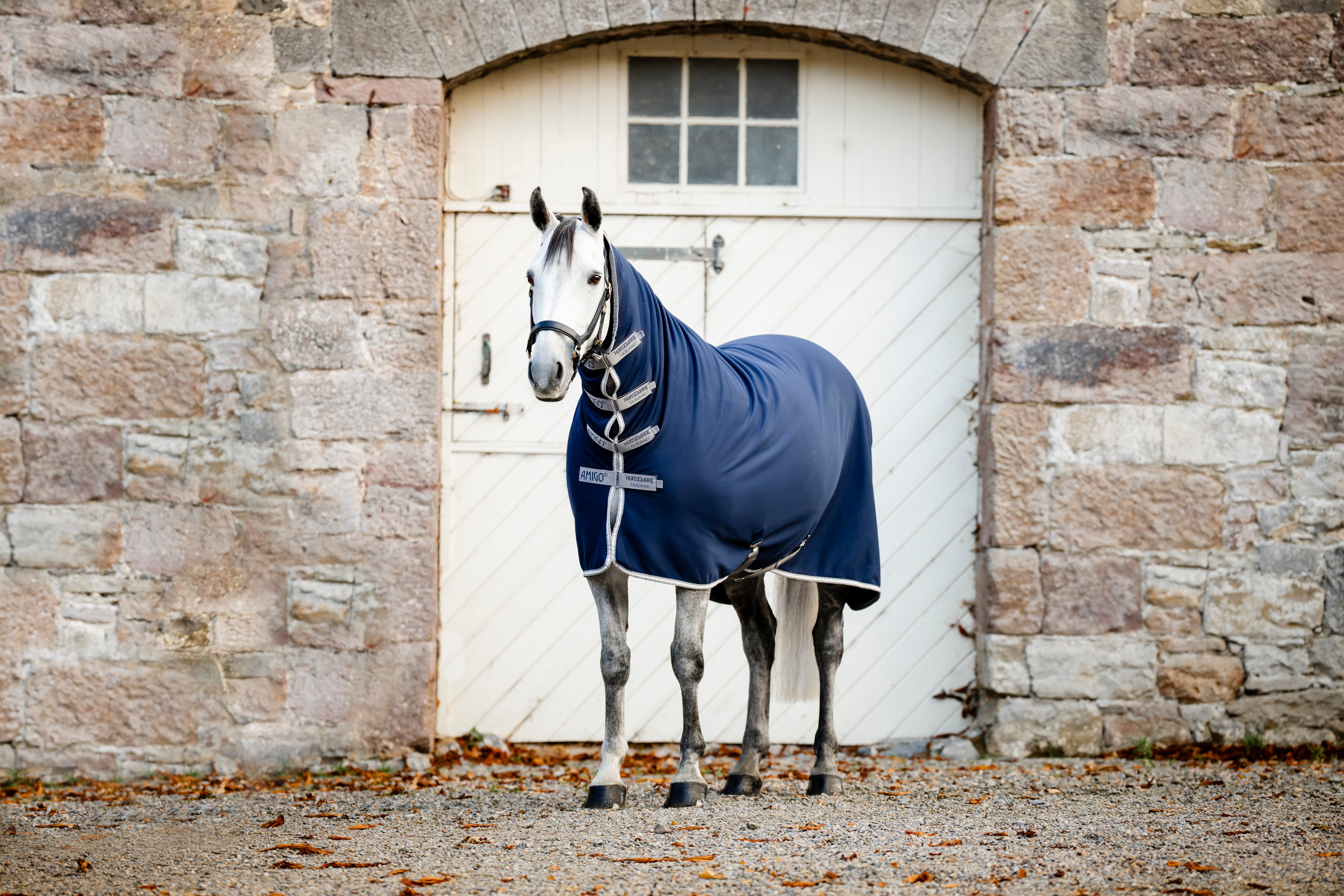 Amigo Jersey Integrated Cooler Navy/Titanium Grey & Silver