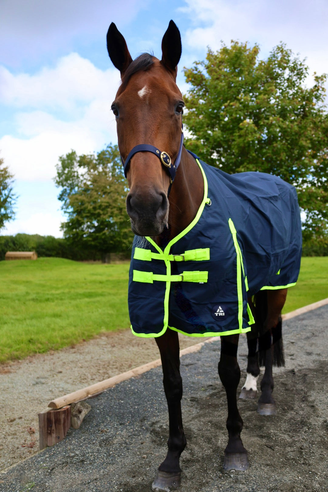 TRI Arkle Std Neck Light Weight 0gr (No Fill) Navy/Green