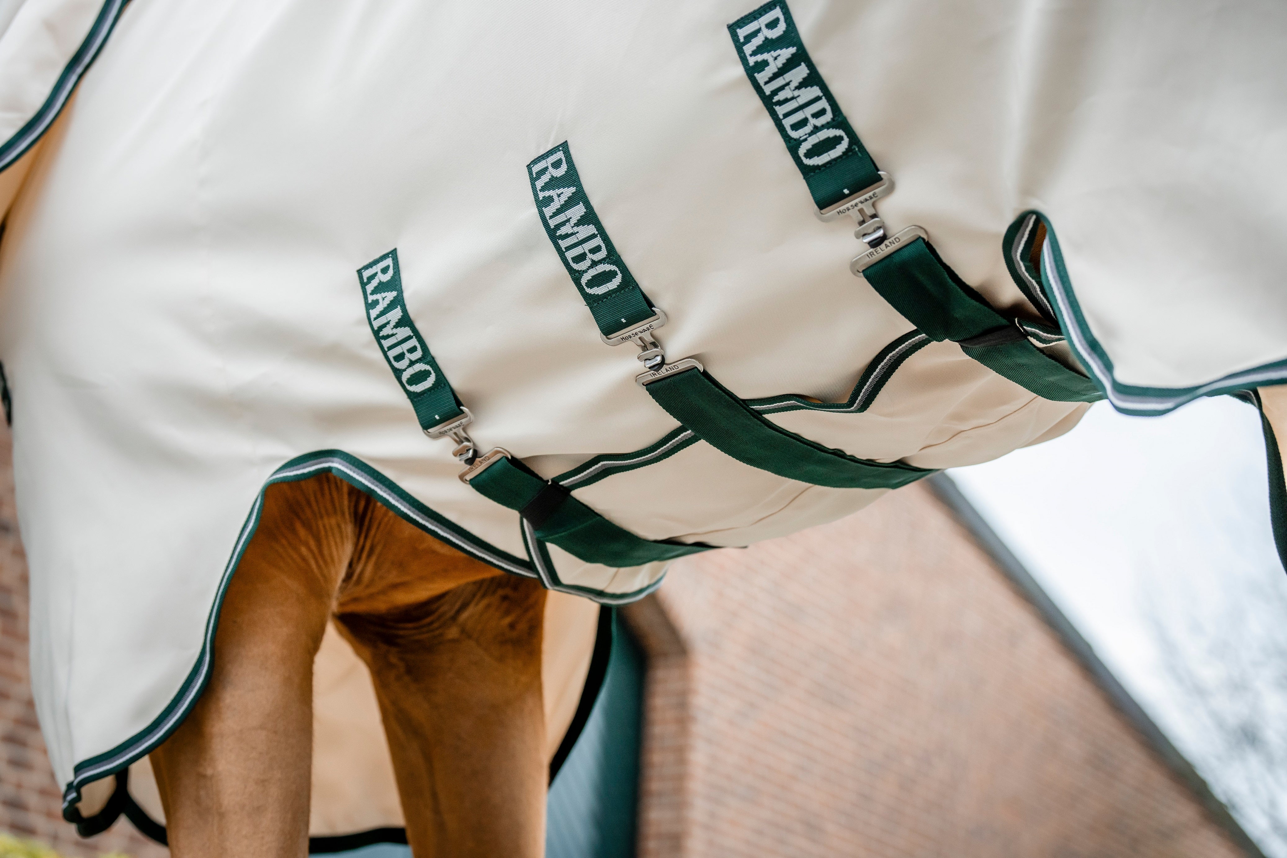 Rambo Sweetitch Hoody Chalk/Hunter Green/Silver