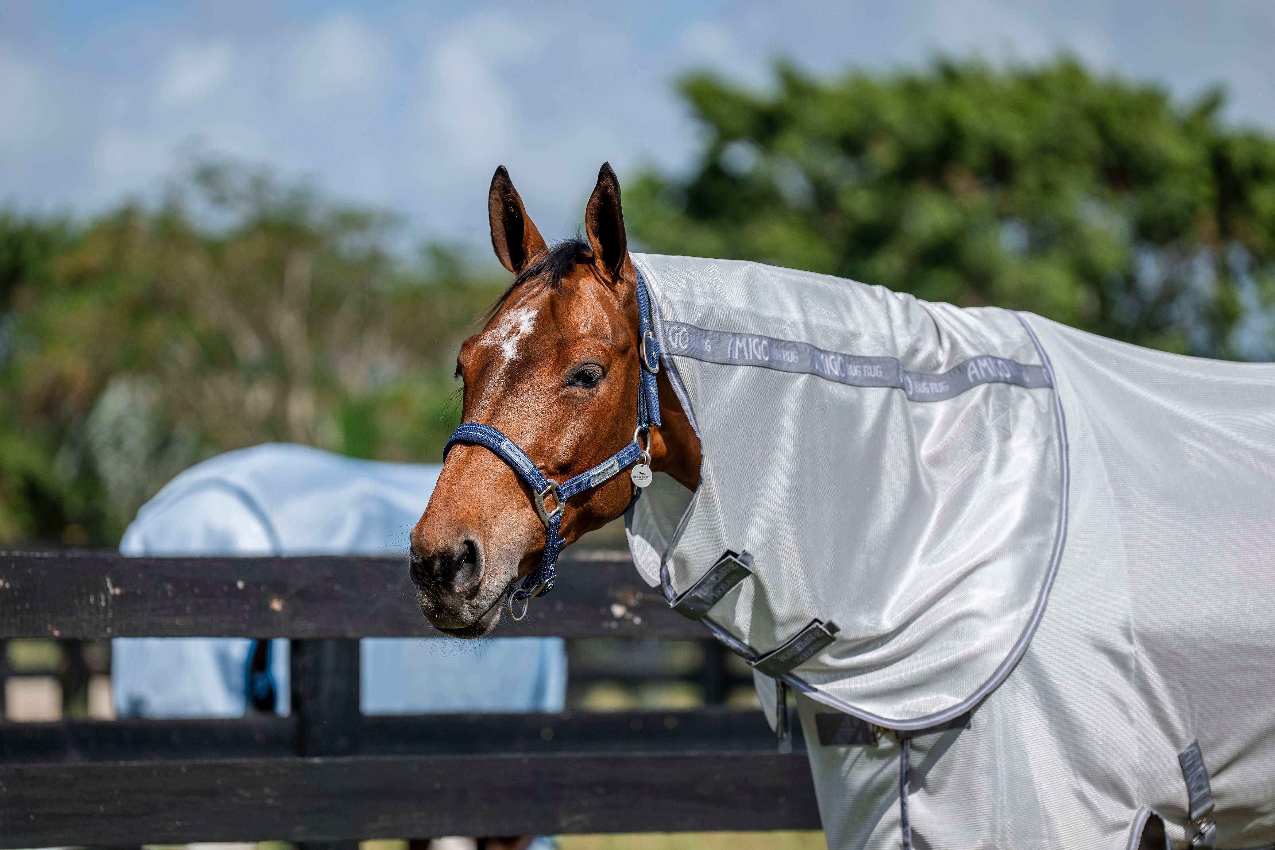 Amigo Bug Rug Plus Pony Silver/Titanium Grey & Silver