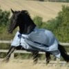 Bucas Buzz-Off with Neck Fly Rug