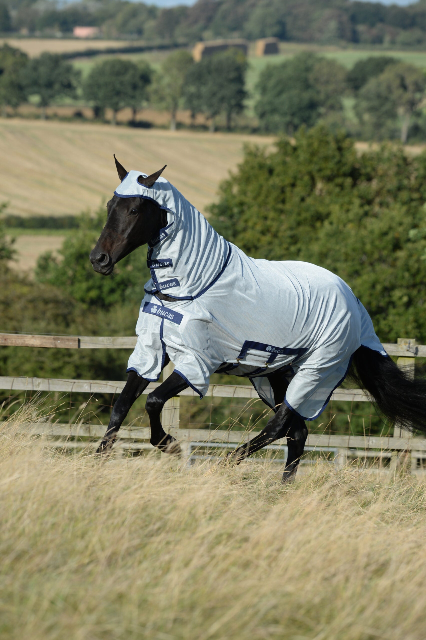 Bucas Buzz-Off X F/N Big Neck Fly Rug Silver