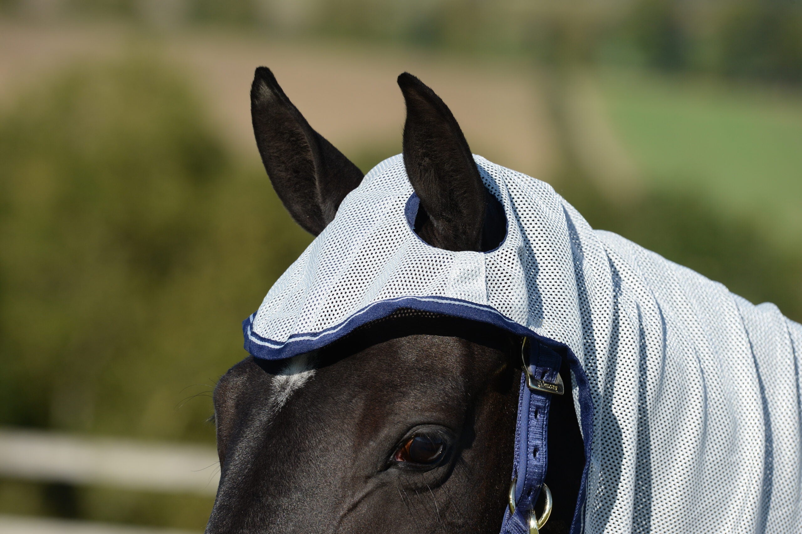 Bucas Buzz-Off X Fly Sheet Full Neck Silver