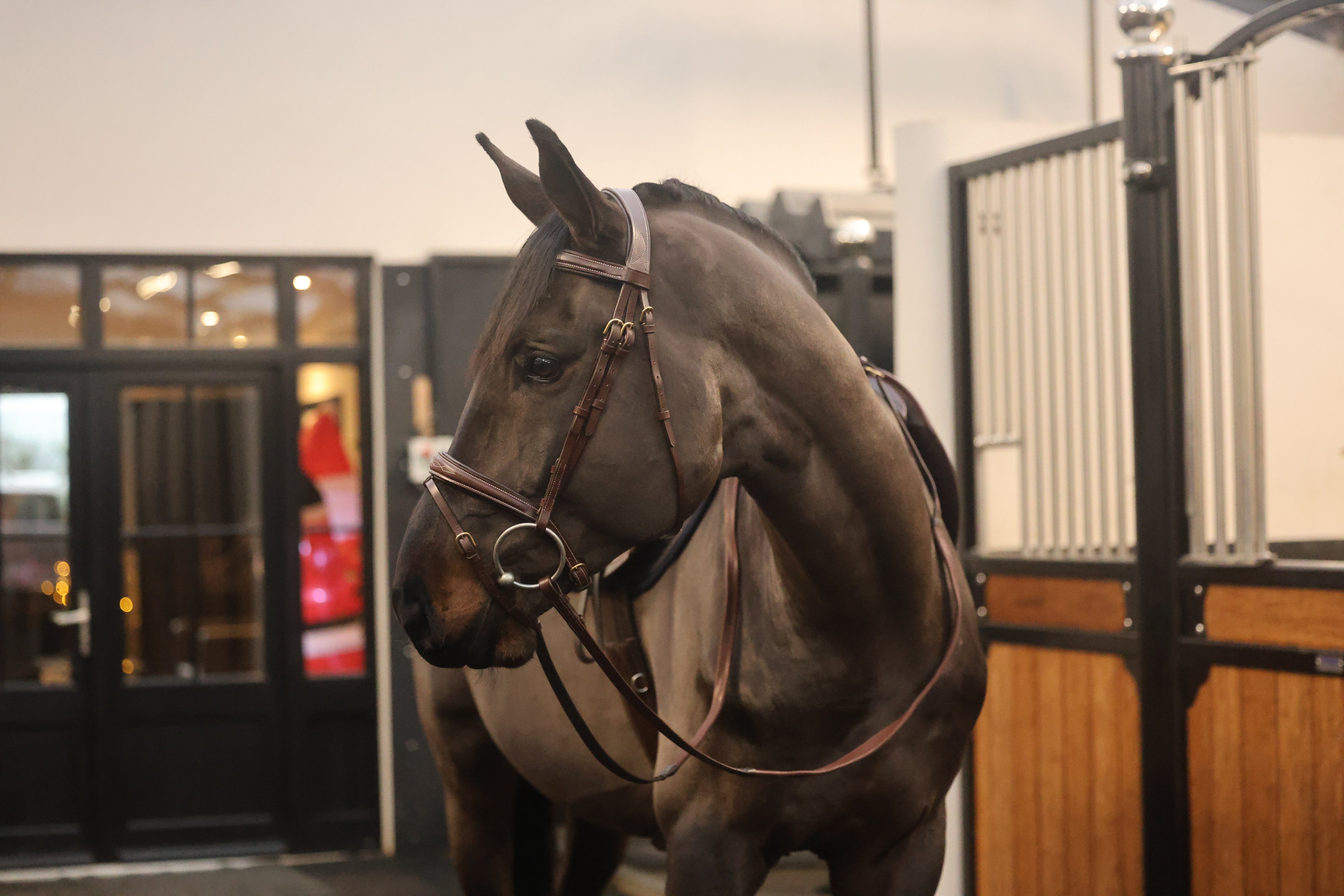 Tesoro Grazia Bridle with reins