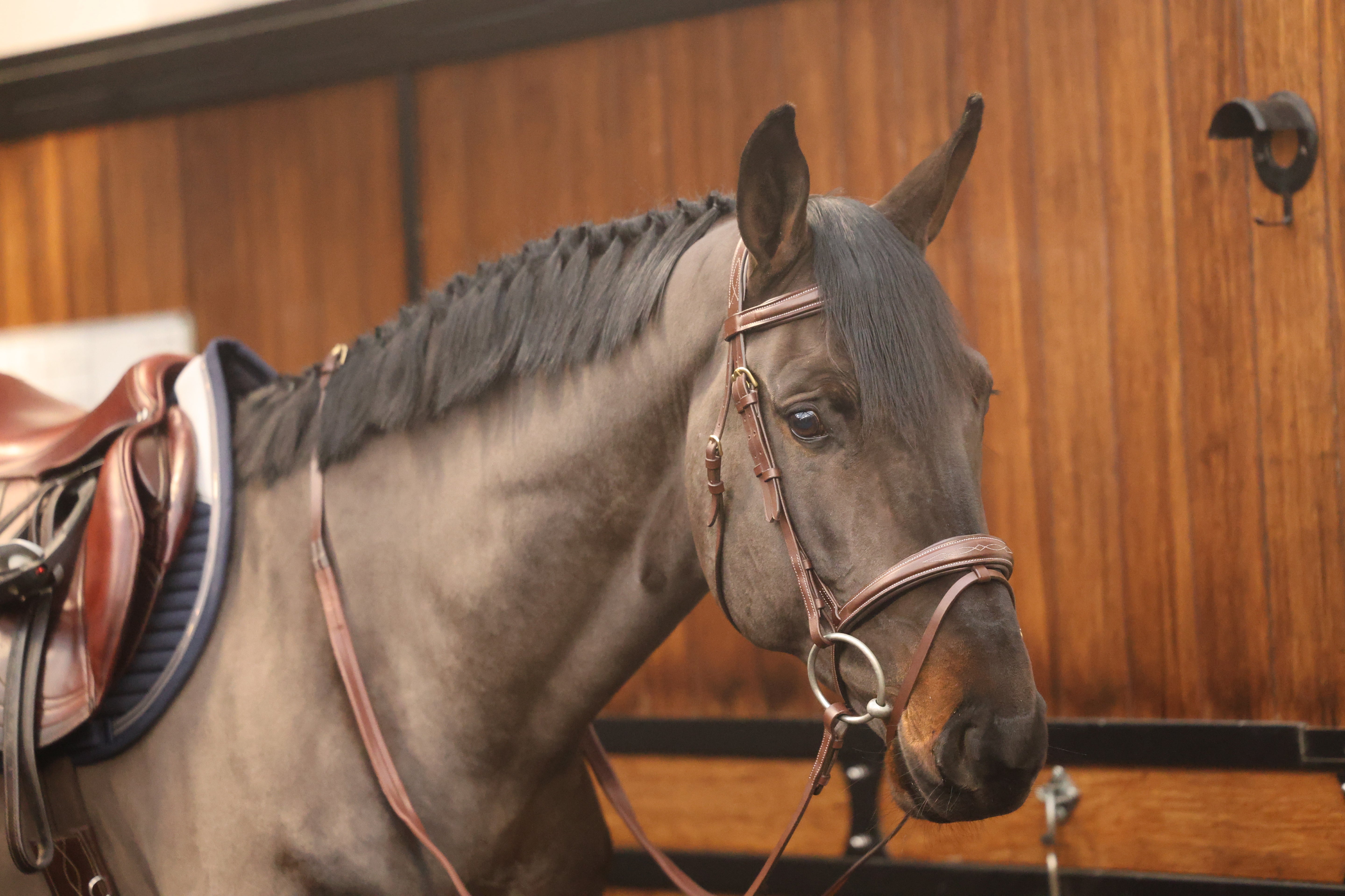 Tesoro Grazia Bridle with reins