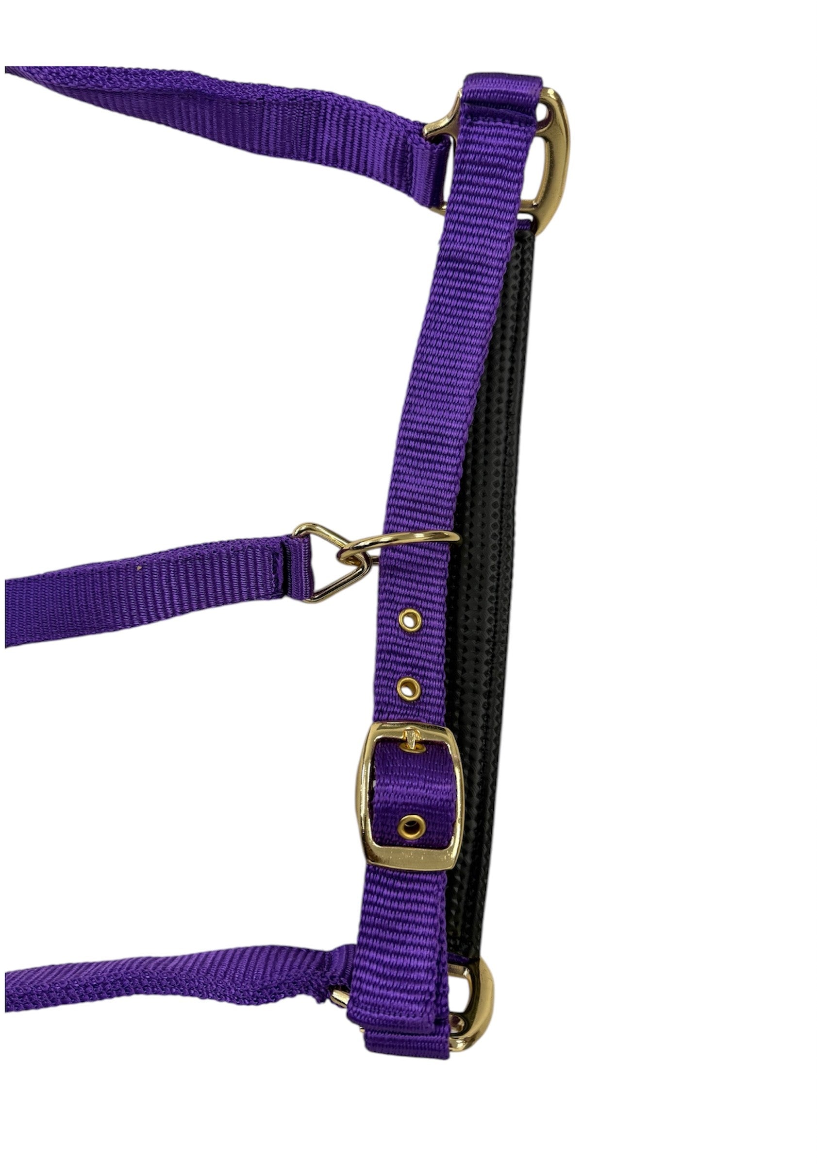 Turfmasters Padded Nylon Halter