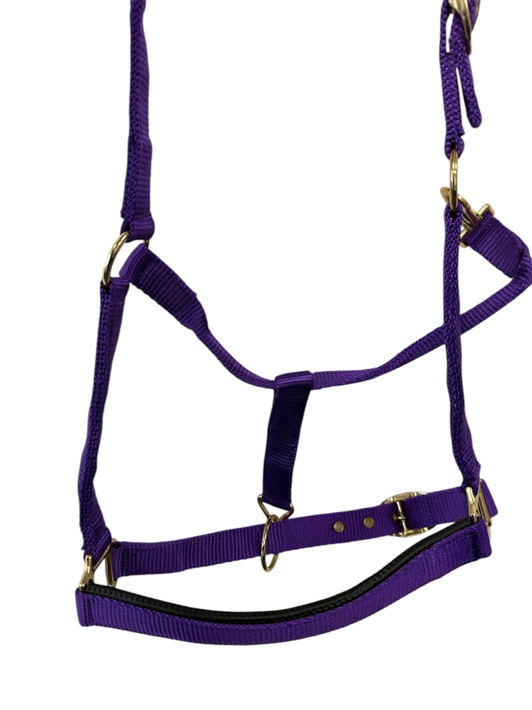 Turfmasters Padded Nylon Halter