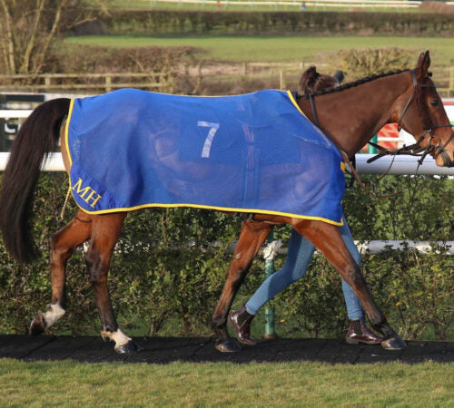 ONYX Cooler Black - No Surcingles Includes Fillet String