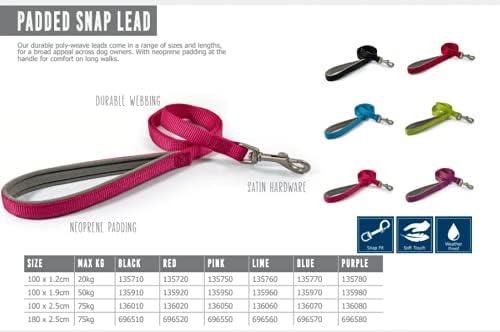 Viva Padded Nylon Lead