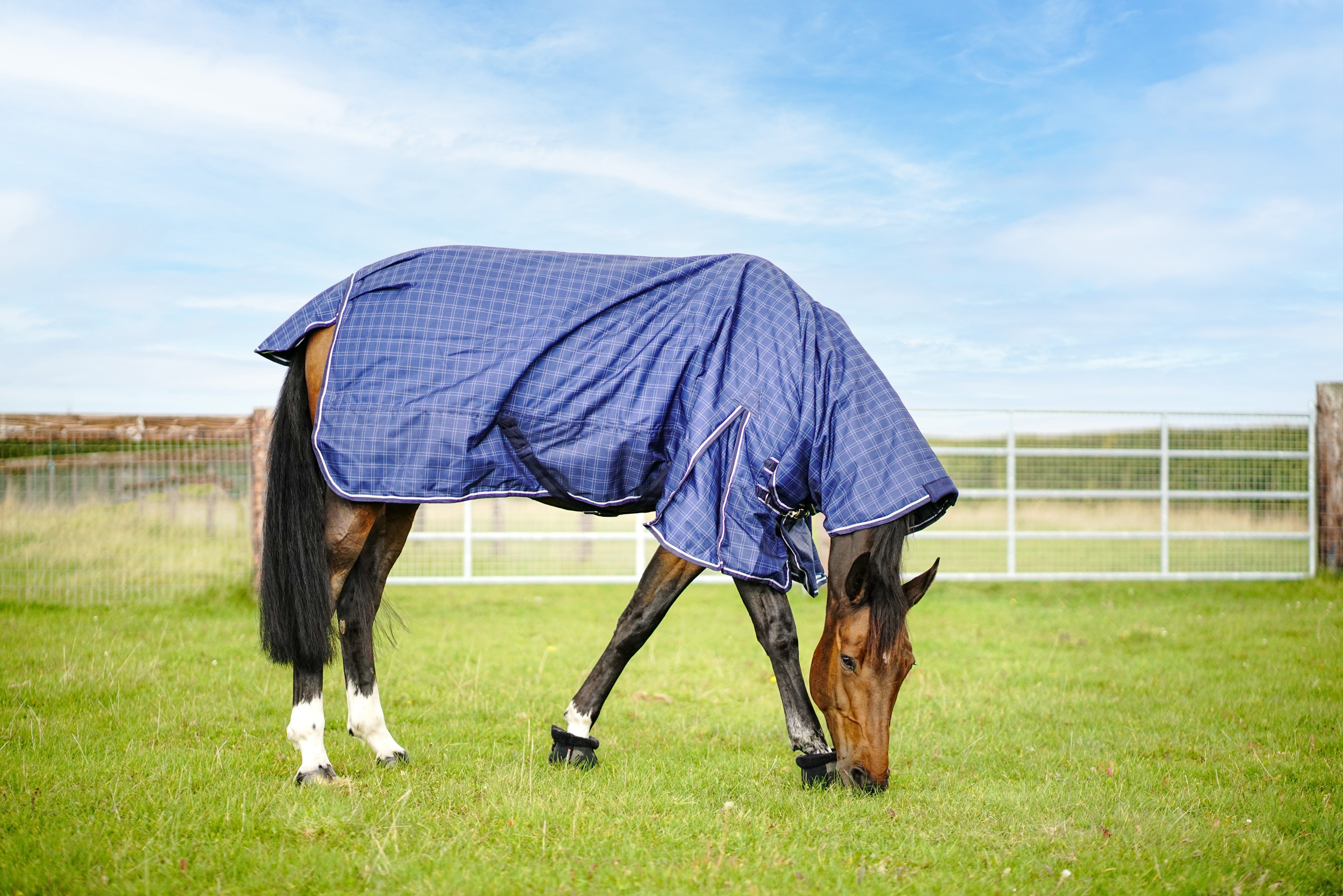 Turfmasters Check Medium Weight 250g Turnout Rug with Full Neck