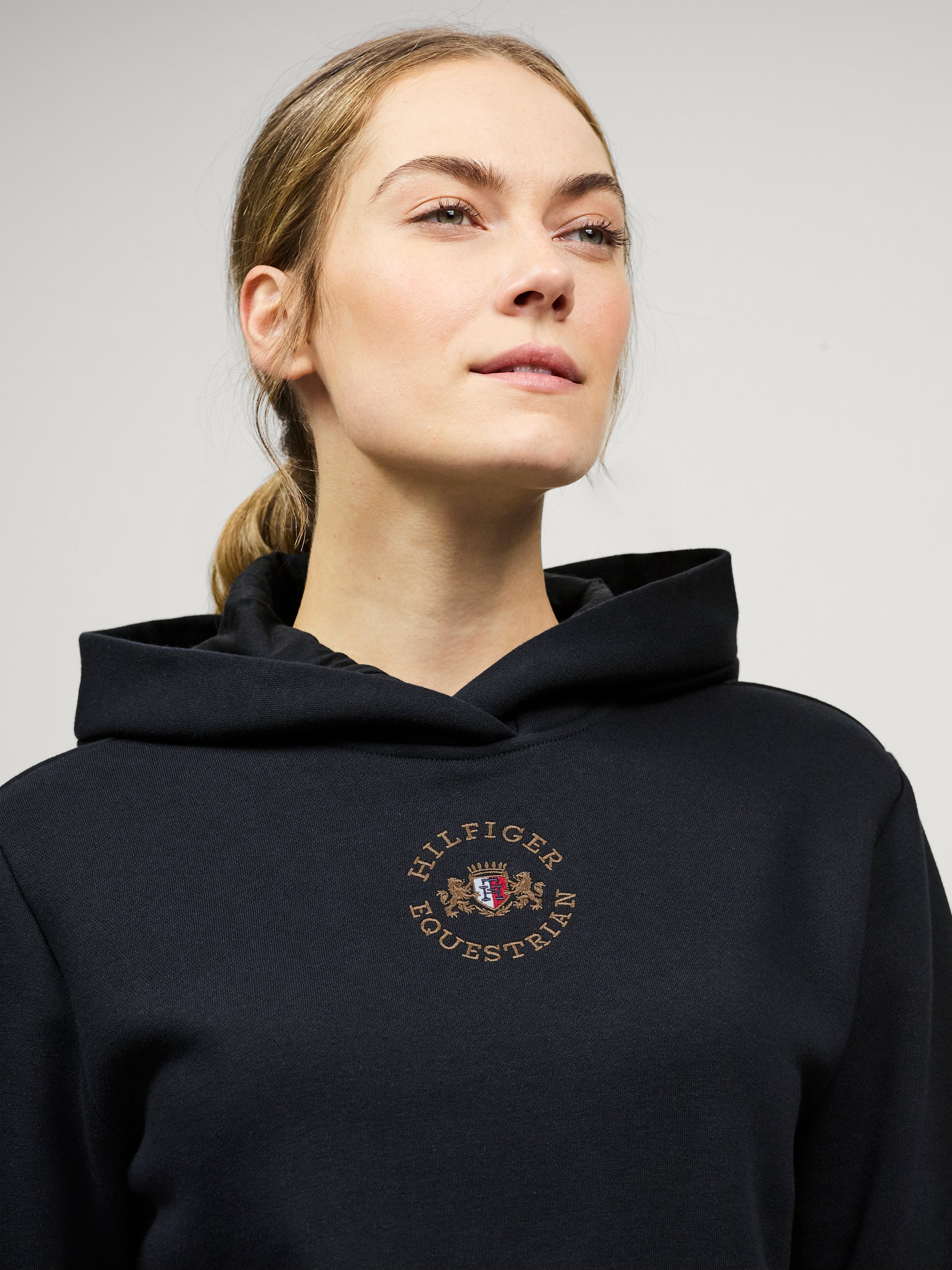 TH Grove Hoodie Desert Sky