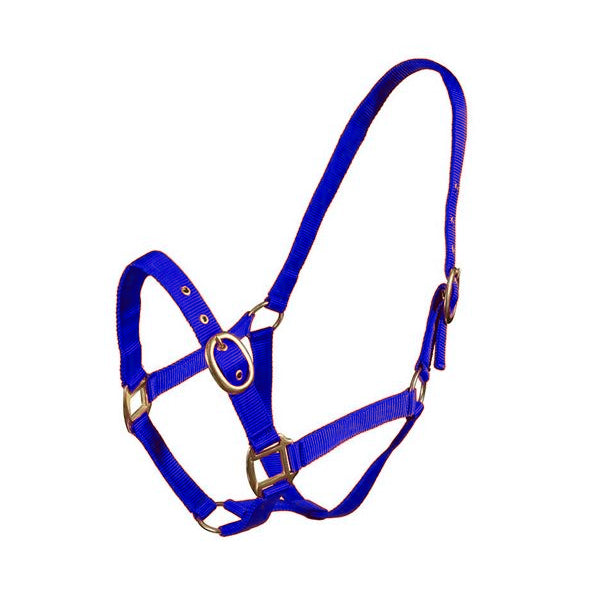 Turfmasters Nylon Halter Pony, Cob & Full