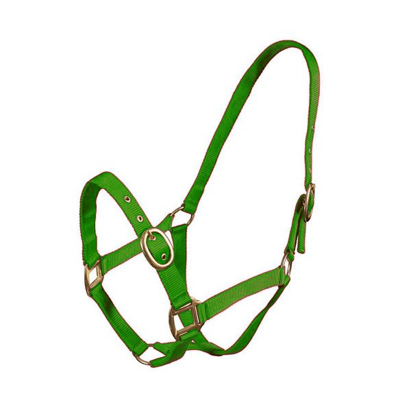 Turfmasters Nylon Halter Pony, Cob & Full