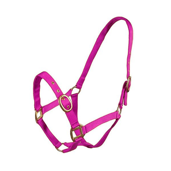 Turfmasters Nylon Halter Pony, Cob & Full