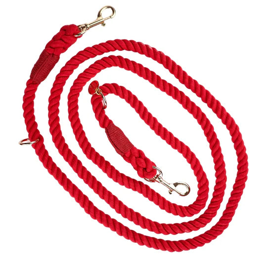 Oh So Fetch Rope Hands Free Lead