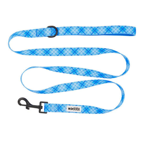 Oh So Fetch Pet Lead