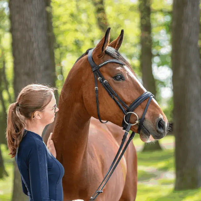 Sprenger KK Ultra Bradoon 16mm Double Jointed Sensogan with 70mm S/Steel Ring