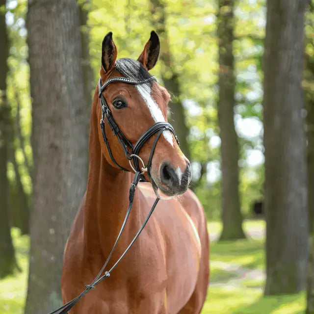 Sprenger KK Ultra Bradoon 14mm Double Jointed Sensogan with 55mm S/Steel Ring 11.5cm