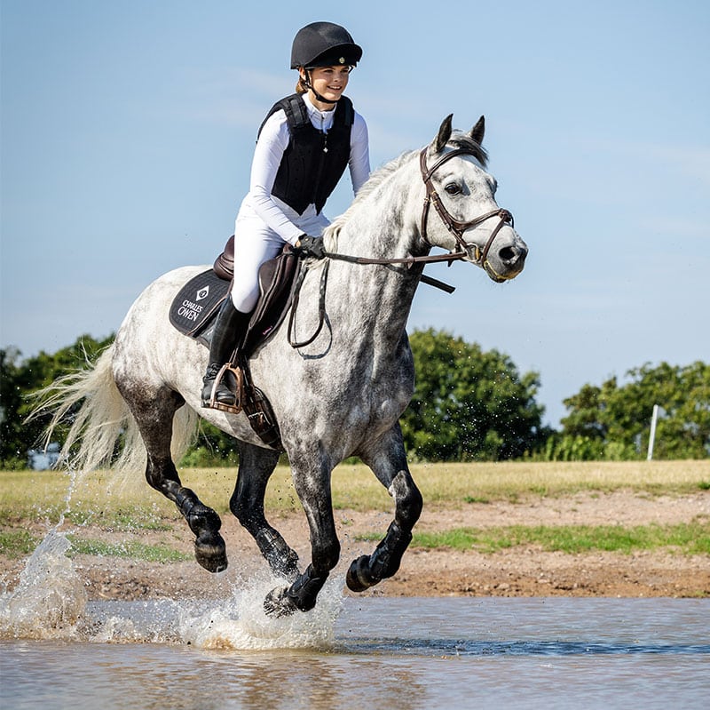 Charles Owen Phoenix Jockey Skull