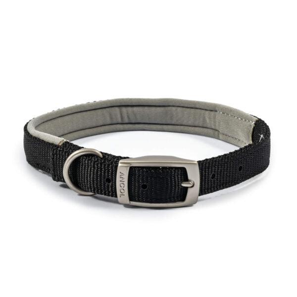 Viva Padded Nylon Collar